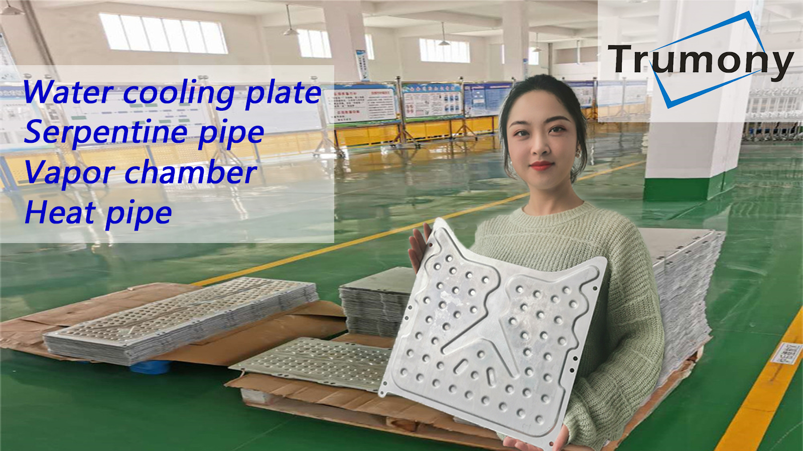 Online Trade Show--- Aluminum Water Cooling Plate