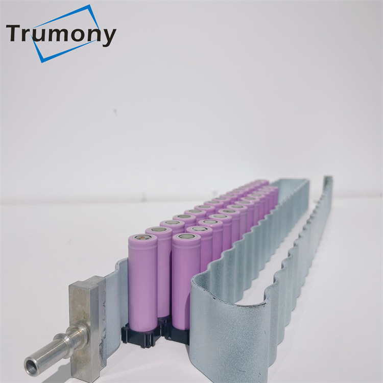 Liquid Coolant Battery Thermal Management System for Electric Vehicles